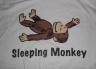 _SleepingMonkey_